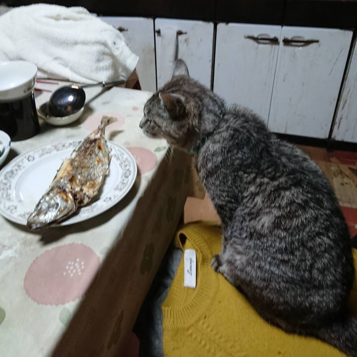 F196615e bde4 4e92 8faf 4d8559620e2b 1573128177617