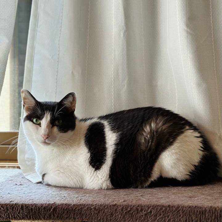 F1966323 4858 4367 aee9 c2fe6afbe9fd 1690935733894