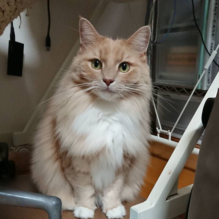 F196647c aab8 4ee0 88ff f41e90c45d5f 1541307318336