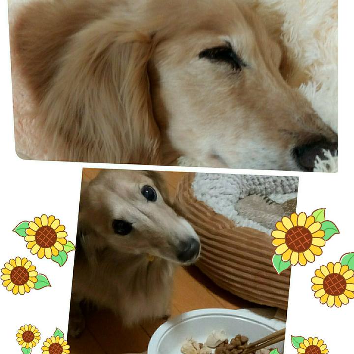 F1966c1d 3368 4df8 96fc ab1c6fd0e4ab 1564675447731