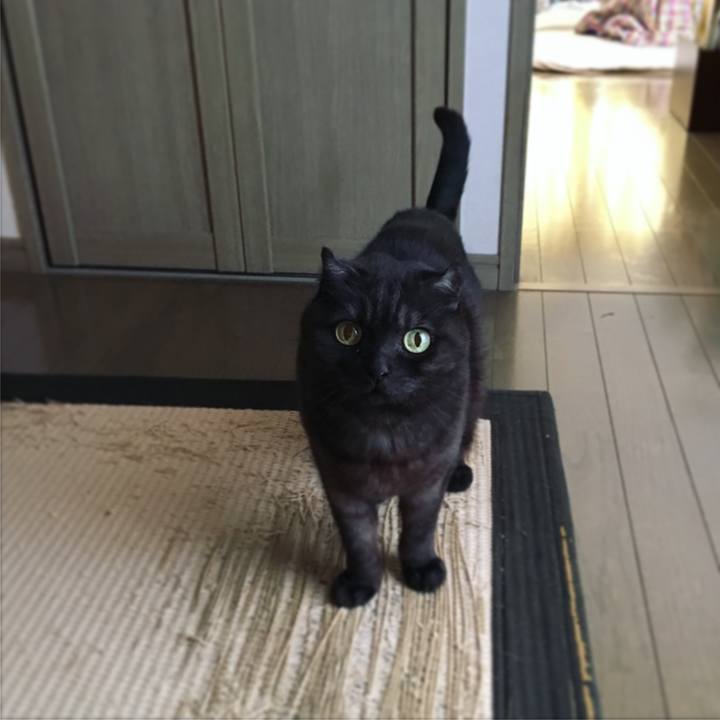 F196924c f44f 4032 9c4e 474346f2b7fe 1521857801188