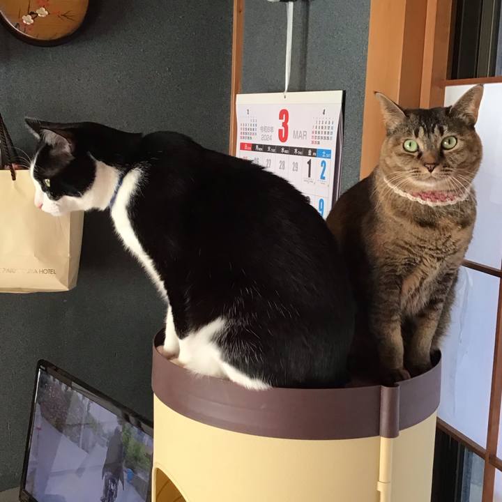 F196fdf3 120e 48f1 bfbc 6971a50bce02 1711077924540