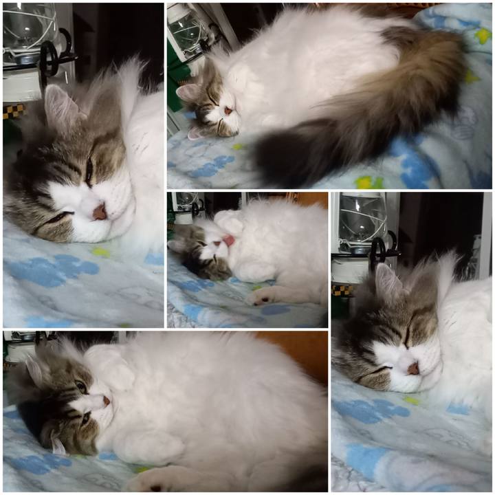 F197115f f8b7 456c 95d9 59d2ed1a771e 1651436252670