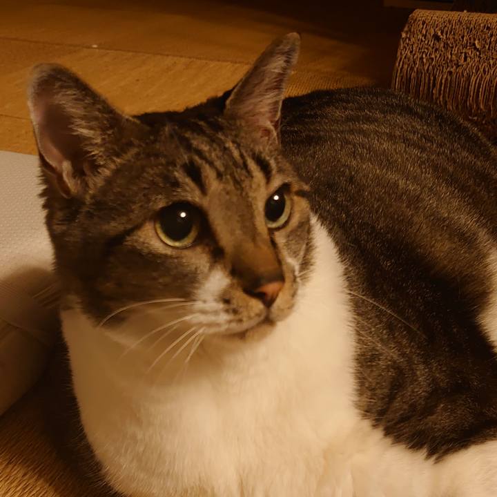 F19711c5 142e 419f a248 1dbab257bae7 1658325329219