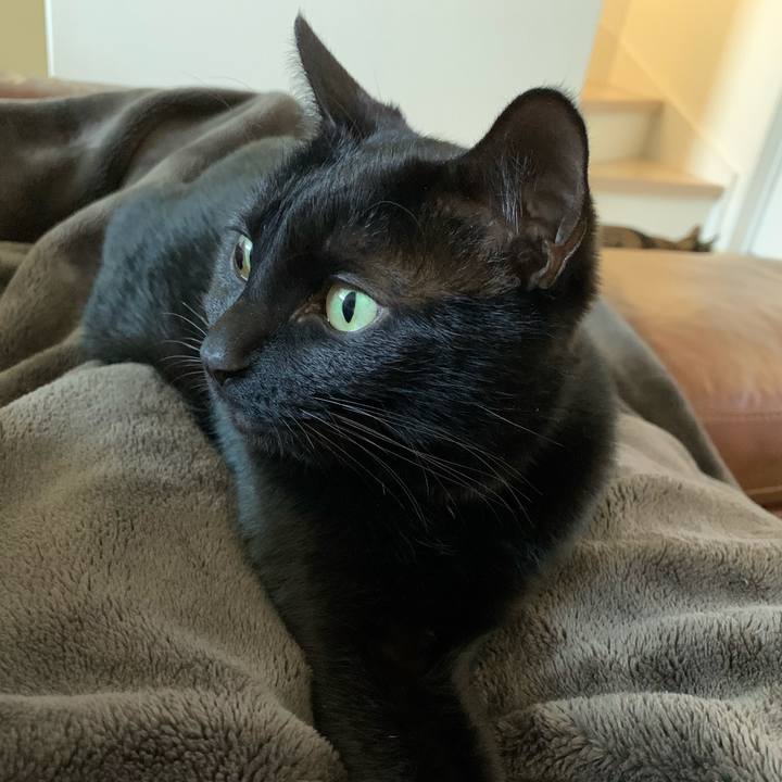 F1971d61 991e 4691 a6f5 d5382ec72513 1580613280629