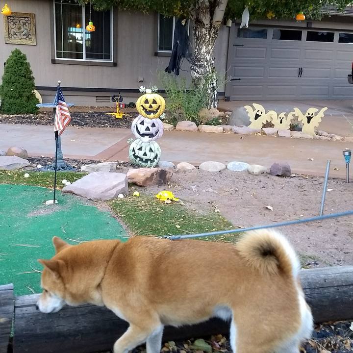 F1973d33 2341 4000 8a33 a4275e0ebec2 1508189815659