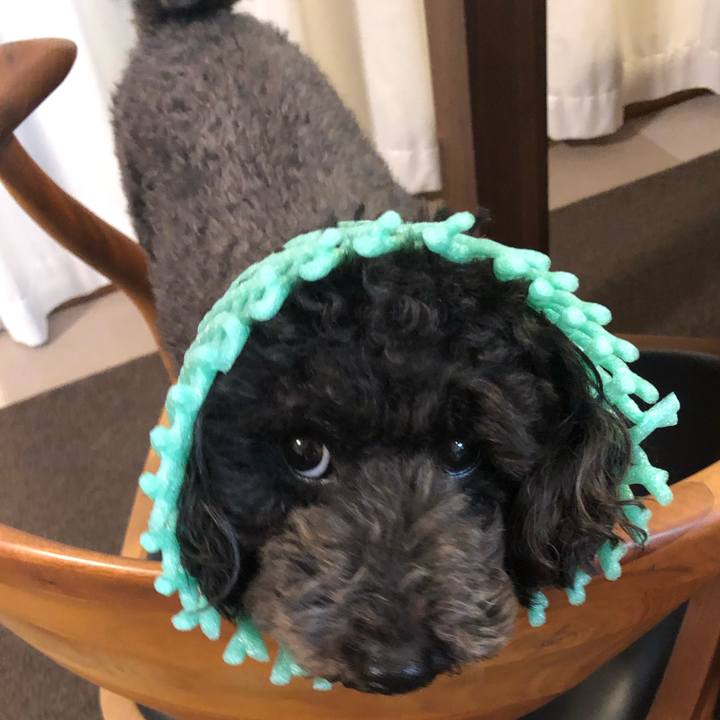 F1978c7f 8224 4f1b 93a6 d387a1cf9583 1596325045387