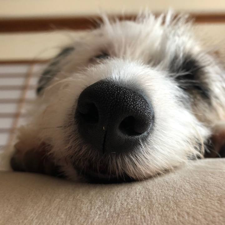 F197b7df 45d7 406f a450 1e2b84b018ed 1556541972650