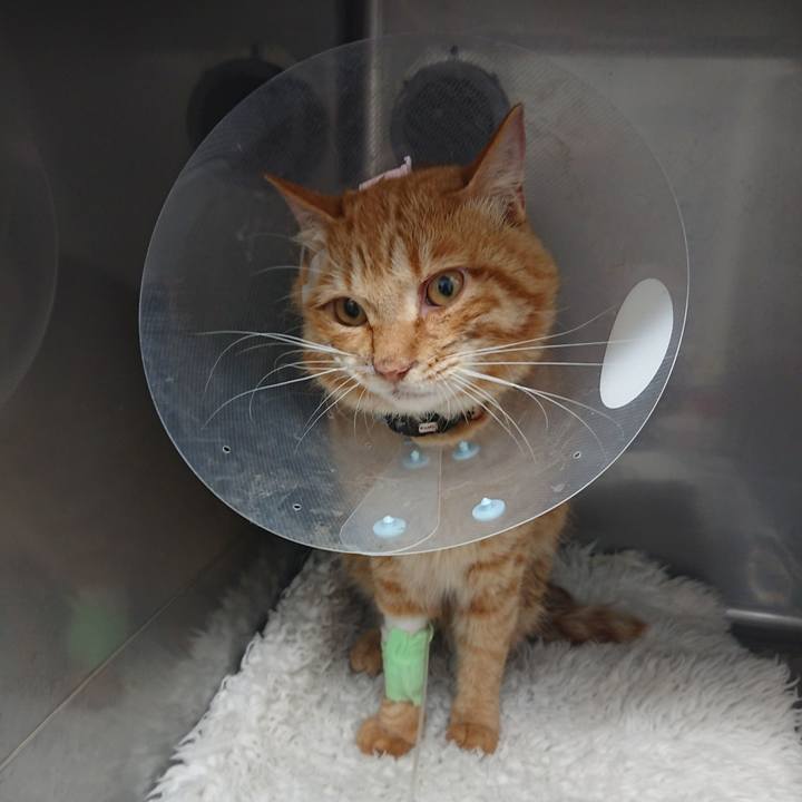 F197c9b9 7cfa 48f4 9600 4a739e3e49dd 1653450995366