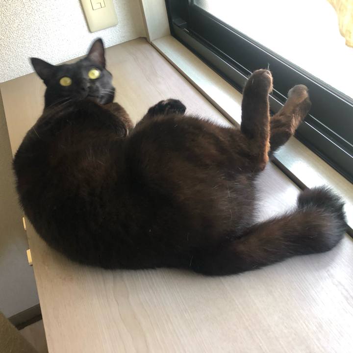 F197e1a6 b60e 4f02 aa22 4ac7707e7719 1616977995037