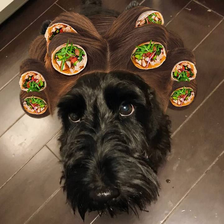 F197e269 d90f 47a3 bdfa a19451fd2114 1563363644352