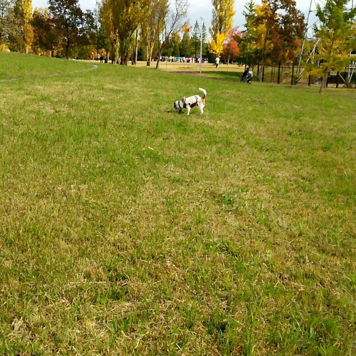 F197e5d3 e23f 477a 9b62 f07680634595 1510464784999