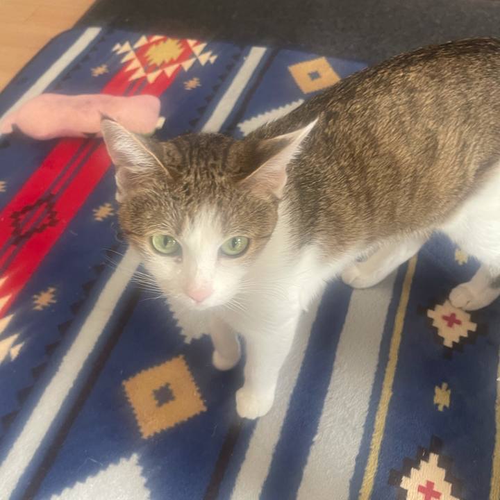 F1982524 e8ab 46e5 bd31 75a15e4daced 1635989745640