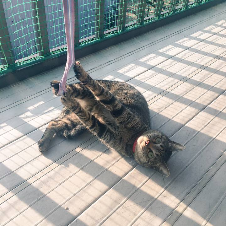 F198506e 43d9 4cc8 b254 7f9148bedcb1 1516666824333