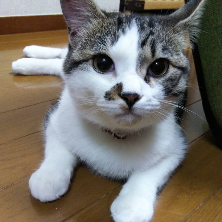 F19867df 3bc2 466f 9d49 4bf6c09d4c77 1617967442627