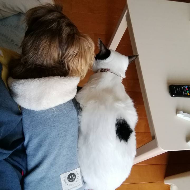 F19869e0 d711 464a b9eb acd7268120b9 1546494686244