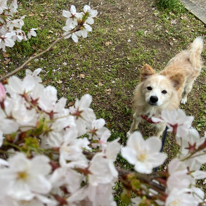 F1986c1d c21d 4473 9508 b3fb2bcce86c 1648956070334