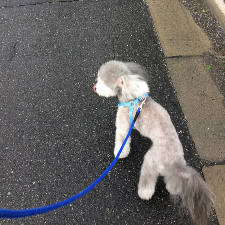 F198bea1 2b5a 4ea9 bb52 7ec926248da7 1508713199804