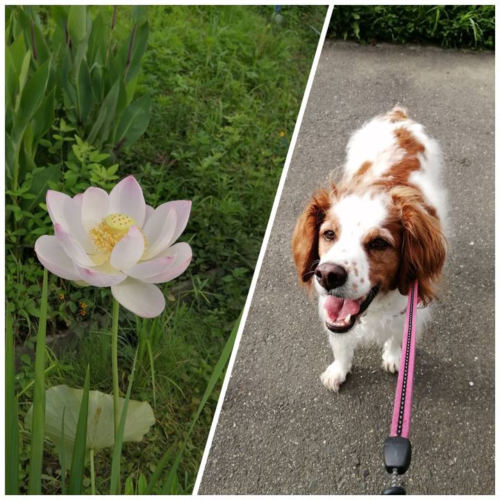 F198ddbf f455 4556 aa8d 167d1cd6d5cb 1626156110497