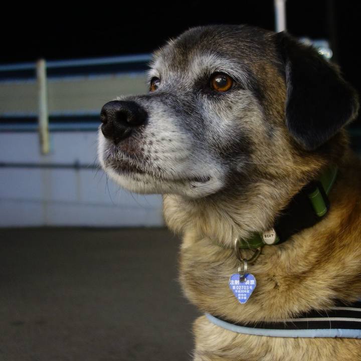 F198fb0a 53b7 4dc2 ade4 4284ec5d39e7 1547901991060