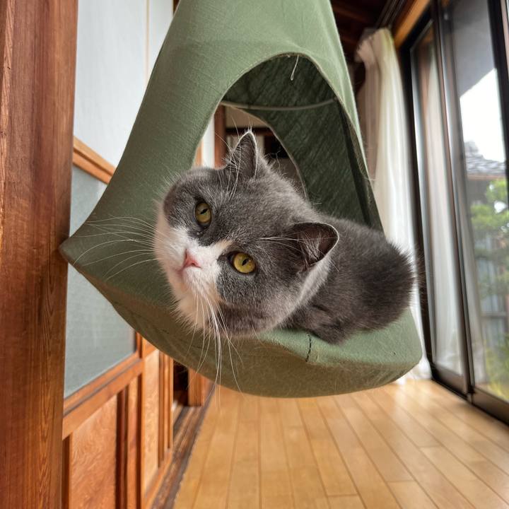 F199603d 6da3 4eac b63a ad7c48468fbb 1716190401964