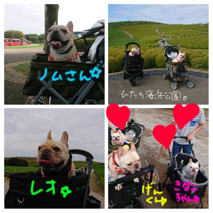F1998ab6 b179 4a0c a181 9ed76960fcaf 1569844072108
