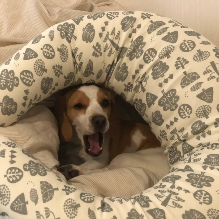 F199b927 f1e4 4ede 872c 4bd8859b9ba3 1583131742505