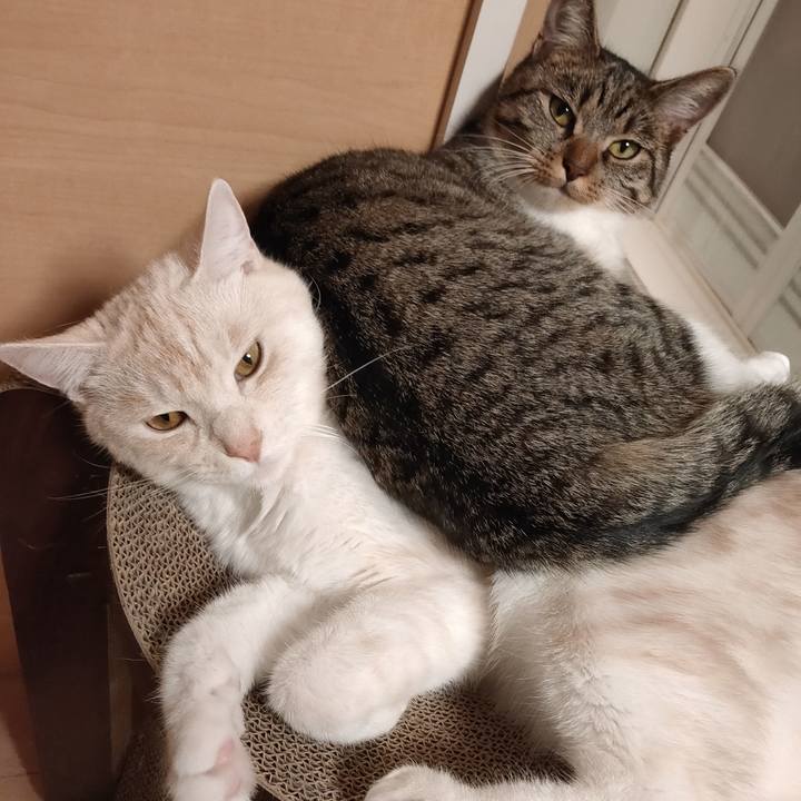 F199b9f1 7cb3 47ed b6b2 6dbfe68cb38e 1655477486660