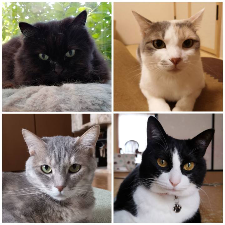 F199df7c 5c38 4be2 9cf0 d794cc874c25 1591018595704