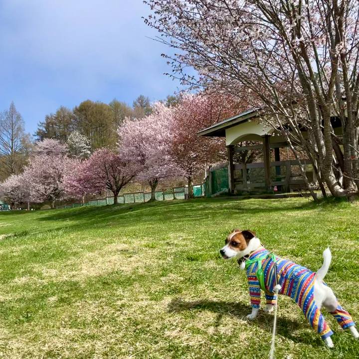 F199f582 f61d 4d28 97a7 68f8ddb30d06 1681989715874