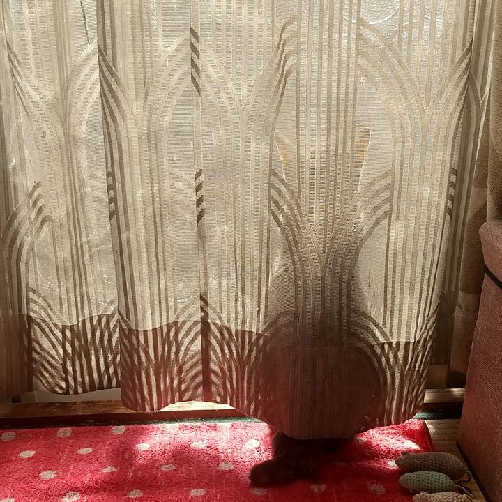 F19a085f bdfb 47a4 bf16 35b439cda146 1699491907396