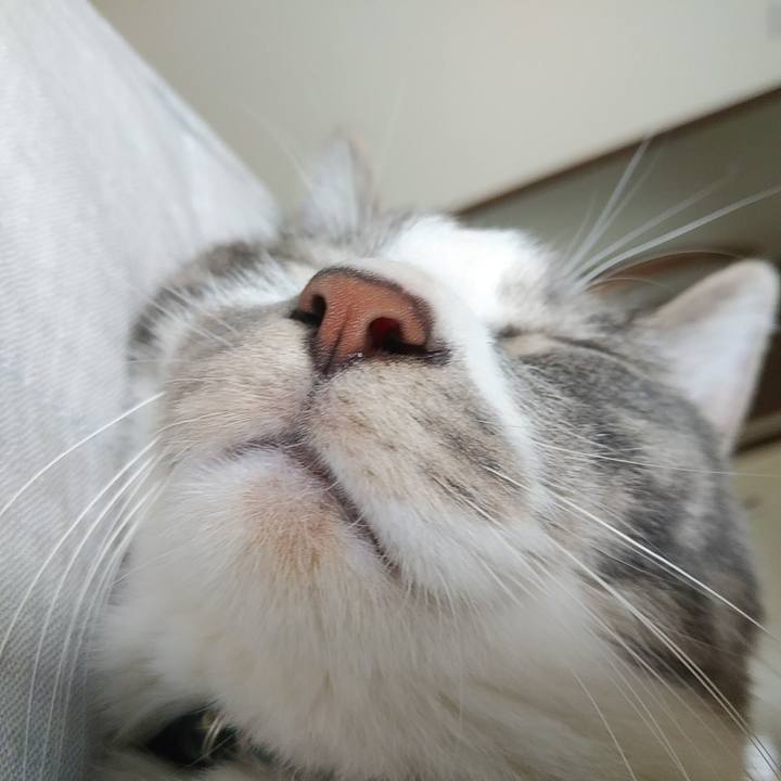 F19a1366 7bb5 49c7 8e69 678d90c13433 1589763443099