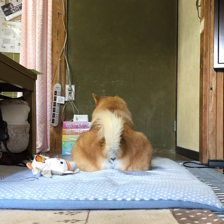 F19a1e7b da4f 41e8 8a50 deea880e42bc 1527168111446