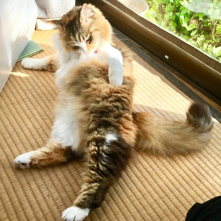 F19a42a9 f387 48d2 8a8c 29fe9ffa694d 1558043837174