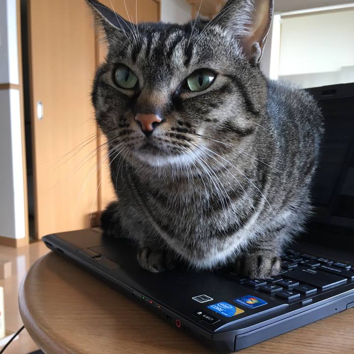 F19a53d2 f6c0 42f7 a26d c1fa5a76497d 1549425408197