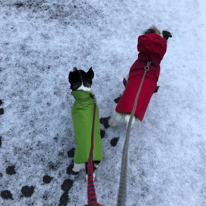 F19a617d 4cba 43fd 95e5 3fe2cd7fec75 1548113233304