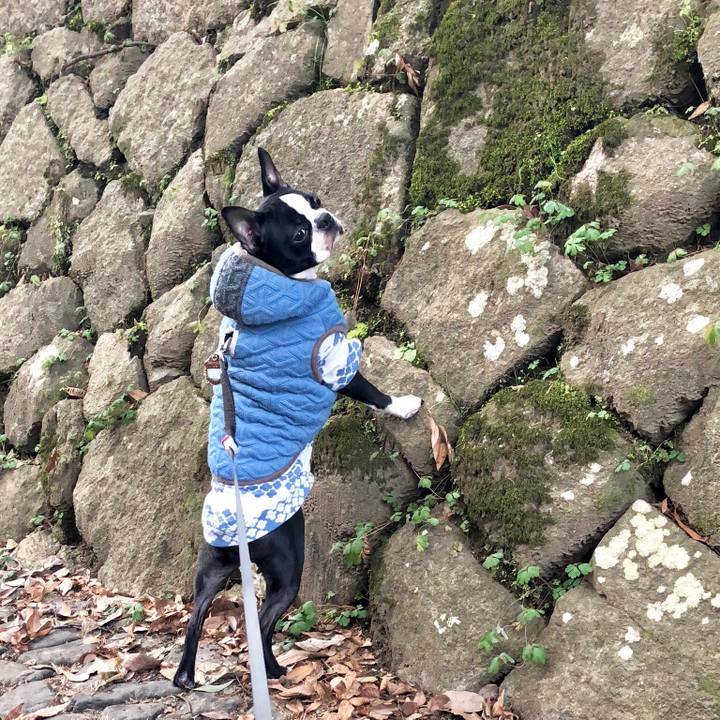 F19a8d2f d406 470a b374 5bf0120e60df 1517299140414