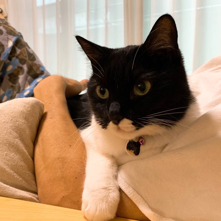 F19a90c7 4830 4f9a acbc f0c773997f82 1567001019862