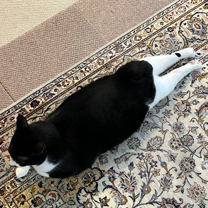 F19aade3 eda6 4a34 a076 c000827a2174 1761169352321