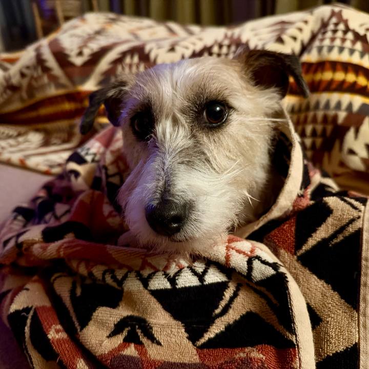 F19ac7b3 6719 4262 af94 2e4a78572adb 1766585793285