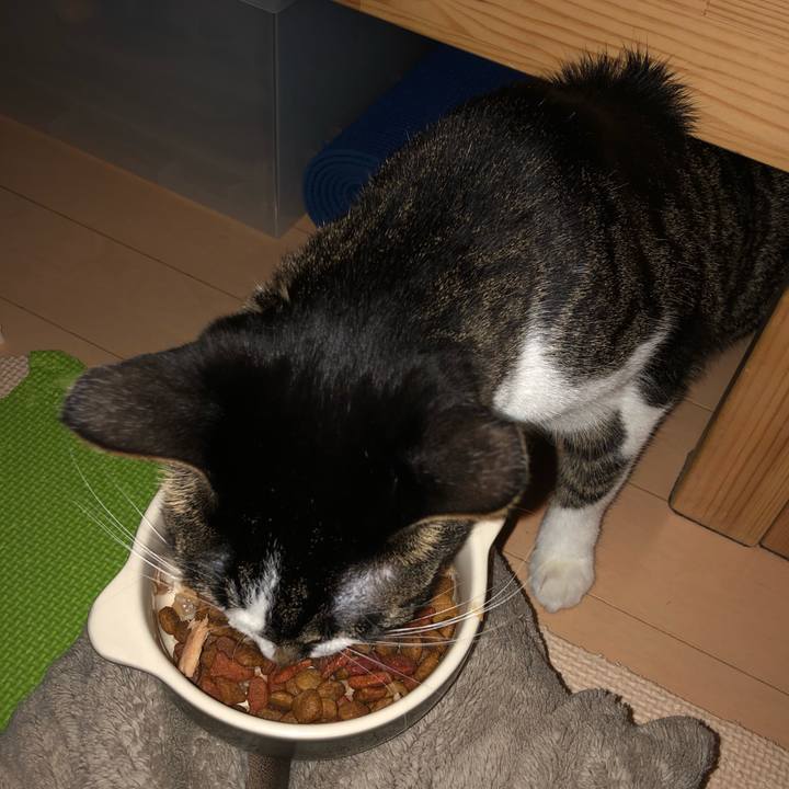 F19ad2ef e9a0 4077 b70c 1e52e8f7656f 1548706457958