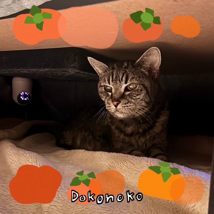 F19b1810 02a4 484a aaba b64a9687f387 1762780897366