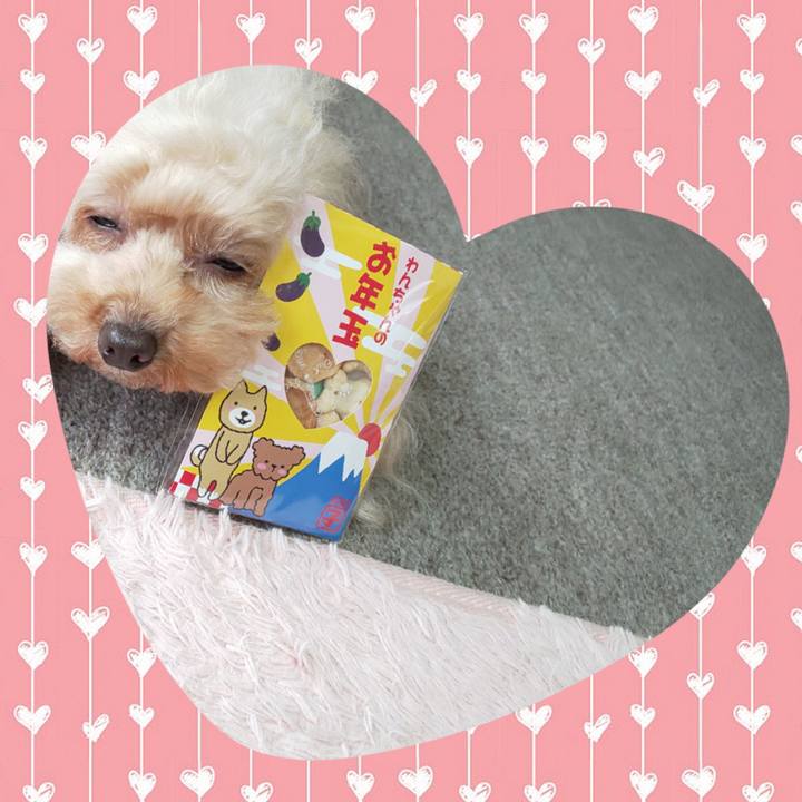 F19b1975 6941 493a 8811 403c6484fc1b 1578489056600