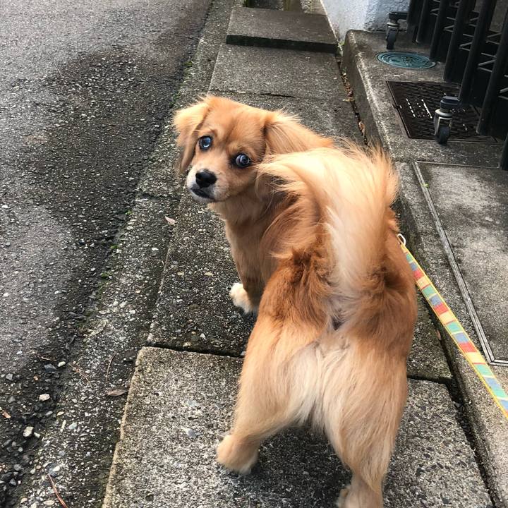 F19b1988 c5ad 4f9b ac39 090e50b35421 1508278439775