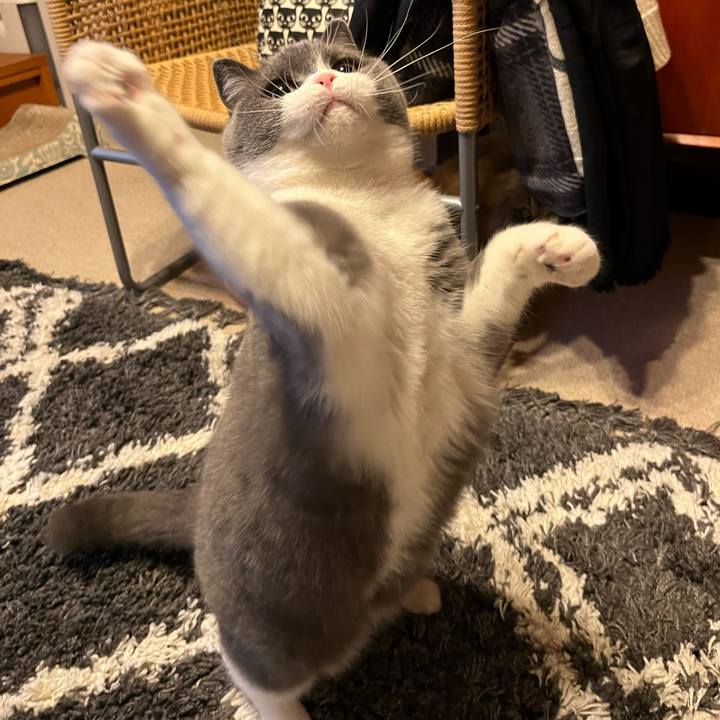 F19b3244 9b03 42fb 9fd7 eb569c161a05 1638790803227