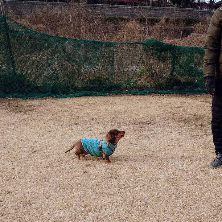 F19b4eb9 4553 415a ba72 f7ace6494f61 1736644331829