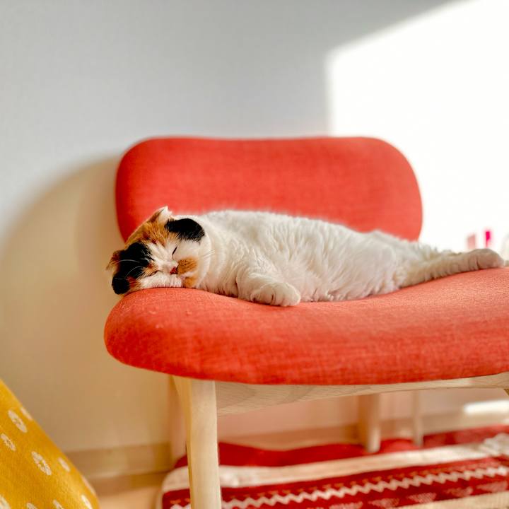 F19b62aa cf6d 4b75 9038 03c14ded95ee 1673143037577