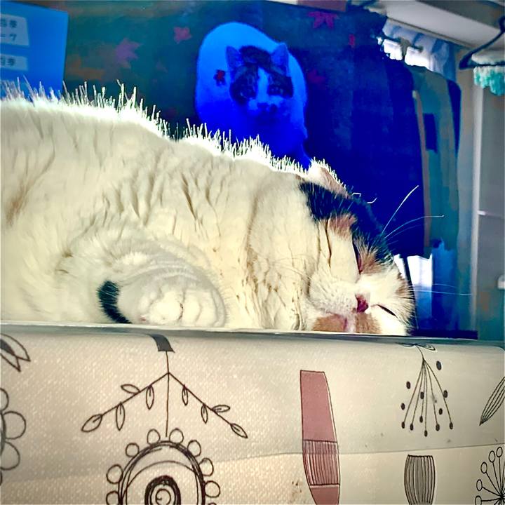 F19b69d1 0a0f 458b b182 f979fff543bb 1578872443189