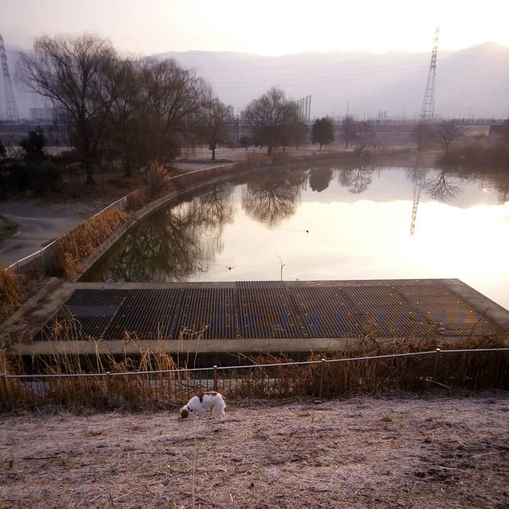 F19b6b2f 8ef2 4e90 a704 aa6e6a150774 1517616766429