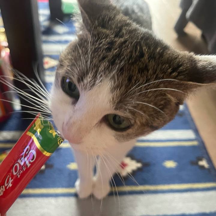 F19b7923 ea2e 4f08 bb6f dc93ccfa6881 1629791314013